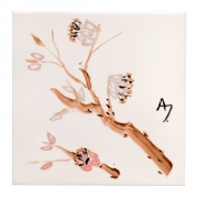 6 (1)