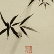 dsc1274