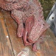 374