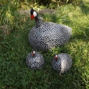DSCF9198.JPG
